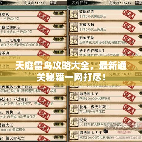 天庭雷鸟攻略大全，最新通关秘籍一网打尽！