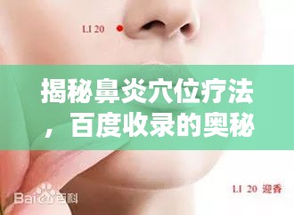 揭秘鼻炎穴位疗法，百度收录的奥秘之道
