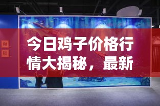 今日鸡子价格行情大揭秘，最新动态一网打尽