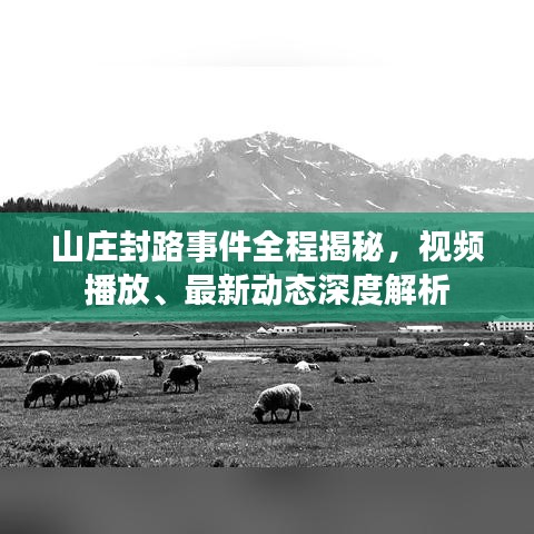 山庄封路事件全程揭秘，视频播放、最新动态深度解析