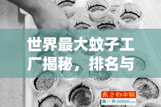 世界最大蚊子工厂揭秘，排名与惊人真相！