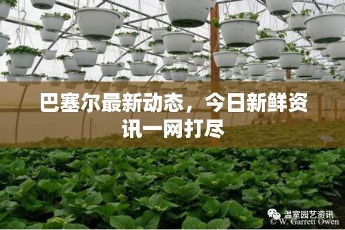 巴塞尔最新动态，今日新鲜资讯一网打尽