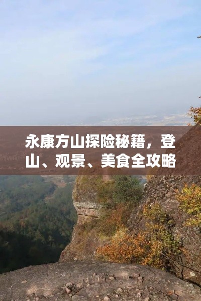 2025年5月29日 第2页
