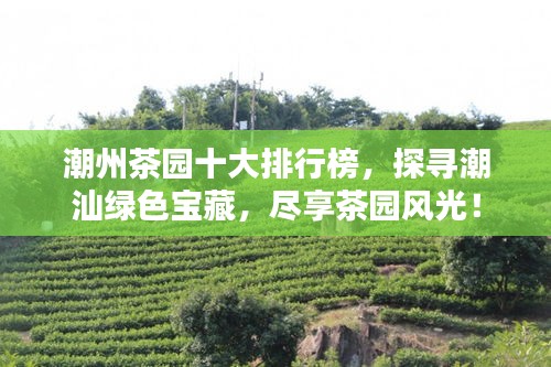 潮州茶园十大排行榜，探寻潮汕绿色宝藏，尽享茶园风光！