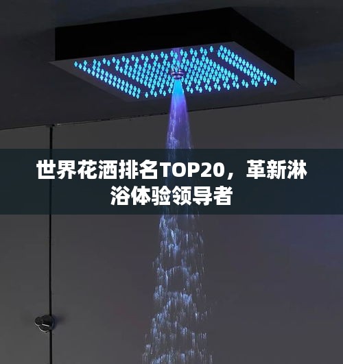 世界花洒排名TOP20，革新淋浴体验领导者