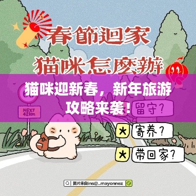 猫咪迎新春，新年旅游攻略来袭！