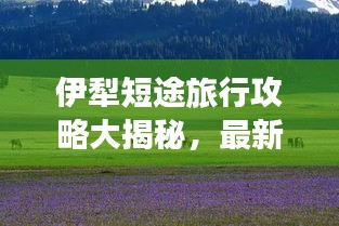 伊犁短途旅行攻略大揭秘，最新指南助你畅游无忧！