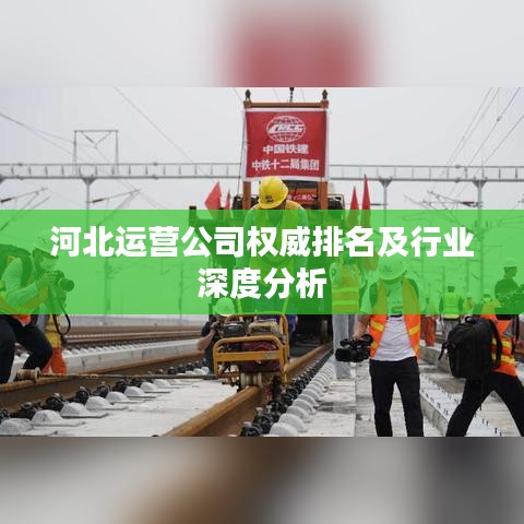 河北运营公司权威排名及行业深度分析