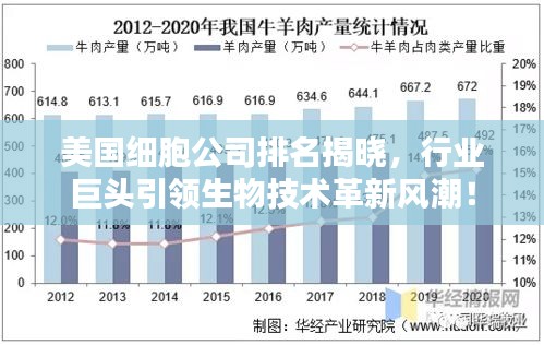 2025年6月5日