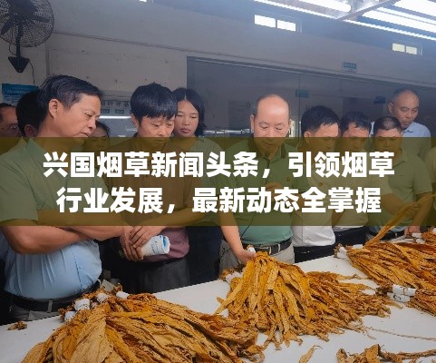 兴国烟草新闻头条，引领烟草行业发展，最新动态全掌握
