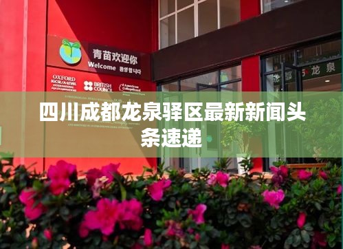 四川成都龙泉驿区最新新闻头条速递