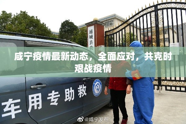 咸宁疫情最新动态，全面应对，共克时艰战疫情