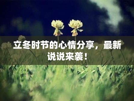 立冬时节的心情分享，最新说说来袭！