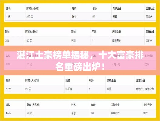 湛江土豪榜单揭秘，十大富豪排名重磅出炉！