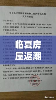 临夏房屋返潮现象最新报告，全面解析返潮情况及应对措施