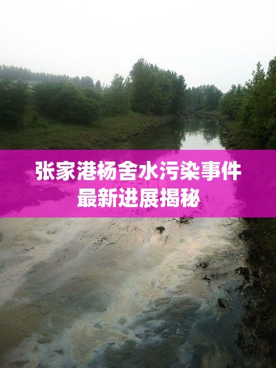 张家港杨舍水污染事件最新进展揭秘