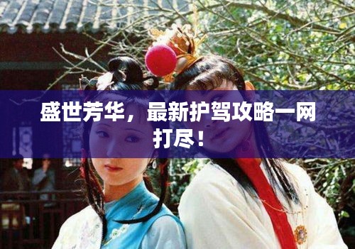 盛世芳华，最新护驾攻略一网打尽！