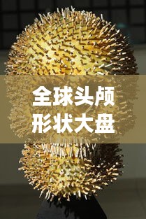 全球头颅形状大盘点，多样性与独特魅力的展现