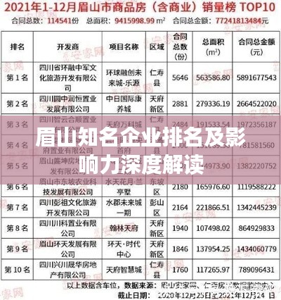 眉山知名企业排名及影响力深度解读