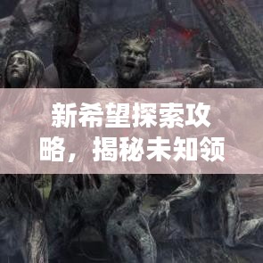 新希望探索攻略，揭秘未知领域，开启全新篇章体验