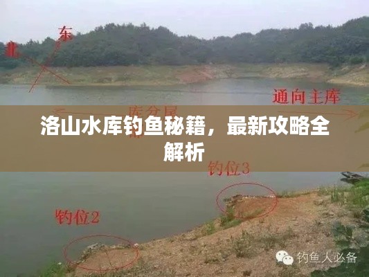 洛山水库钓鱼秘籍，最新攻略全解析