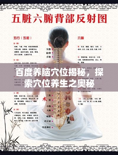百度养脑穴位揭秘，探索穴位养生之奥秘