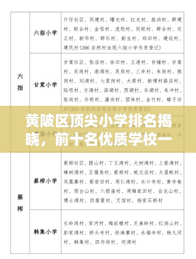 黄陂区顶尖小学排名揭晓，前十名优质学校一览
