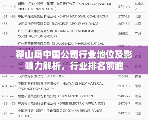 翟山鹰中国公司行业地位及影响力解析，行业排名前瞻