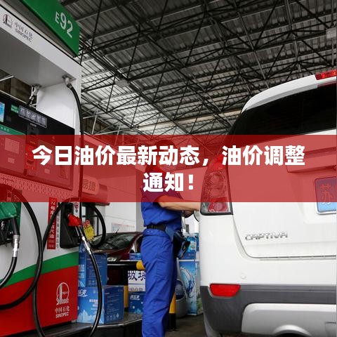 今日油价最新动态，油价调整通知！