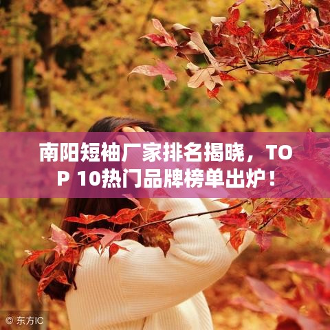 南阳短袖厂家排名揭晓，TOP 10热门品牌榜单出炉！