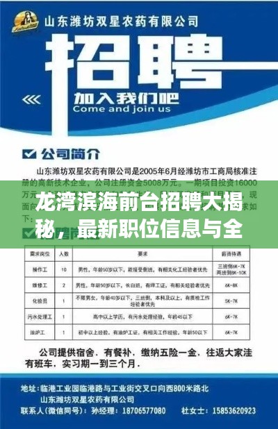 龙湾滨海前台招聘大揭秘，最新职位信息与全面解读！