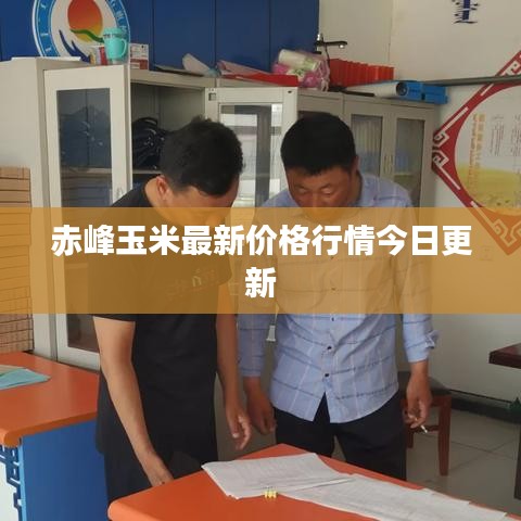 赤峰玉米最新价格行情今日更新