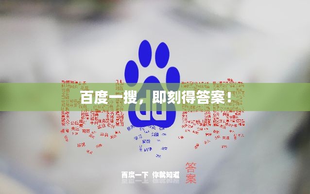 百度一搜，即刻得答案！