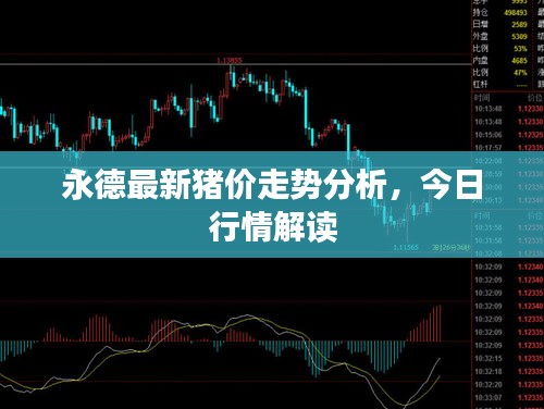 永德最新猪价走势分析，今日行情解读