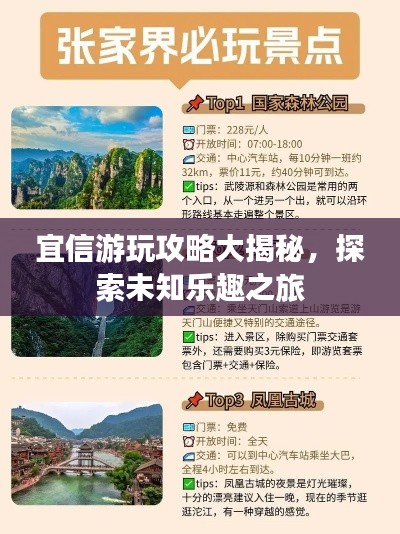 宜信游玩攻略大揭秘，探索未知乐趣之旅