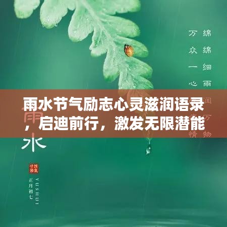 雨水节气励志心灵滋润语录，启迪前行，激发无限潜能
