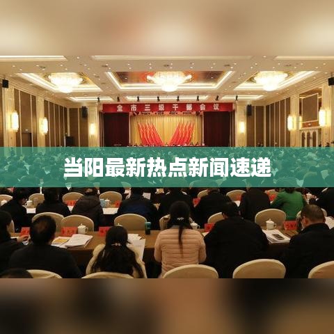 当阳最新热点新闻速递