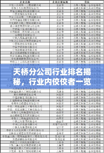 天桥分公司行业排名揭秘，行业内佼佼者一览无余
