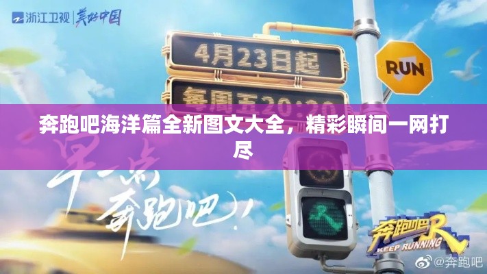 奔跑吧海洋篇全新图文大全，精彩瞬间一网打尽