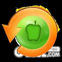 甜椒刷机助手官方下载,稳健性策略评估_tShop_v9.644