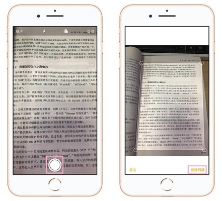 文字扫描官方下载,精细分析解释定义_进阶款_v5.890