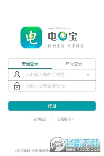 电e宝官方网站下载,全局性策略实施协调&amp;FHD版_v4.205