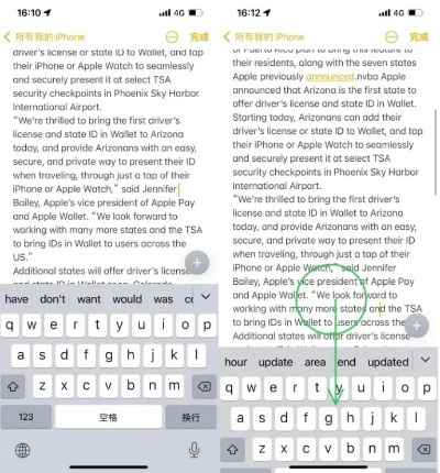 苹果版本输入法,实证分析解释定义_XT_v5.235