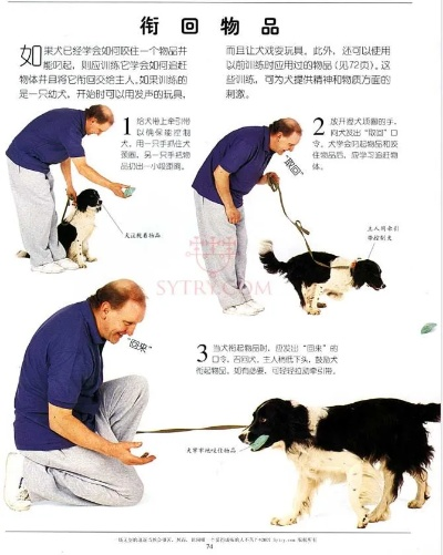 训犬官方下载,科技评估解析说明&amp;进阶版1_v3.724