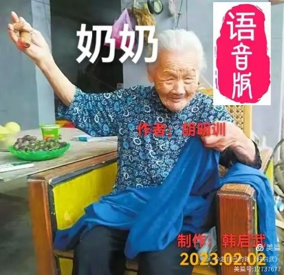 奶奶1.5版本,详细解读定义方案-soft_v3.231