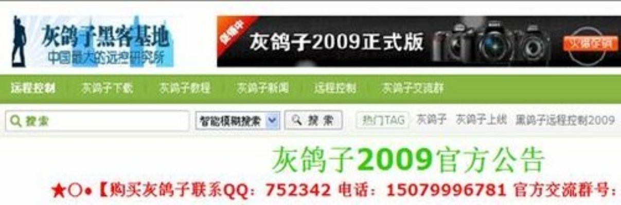 灰鸽子版本,专家意见解析_移动版1_v8.824