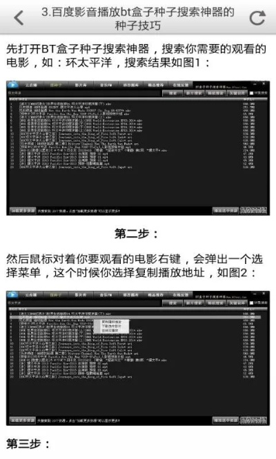 种子神器老版本,精细设计解析-9DM_v4.949