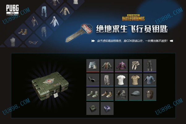 内测激活码怎么激活同类似绝地求生单机版,定制化执行方案分析&amp;进阶款_v8.757