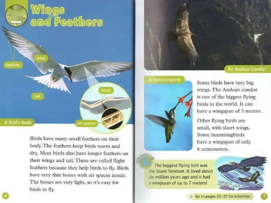 牛津英雄官方下载及鲸鱼宝版本,现象分析解释定义|Essential_v9.800