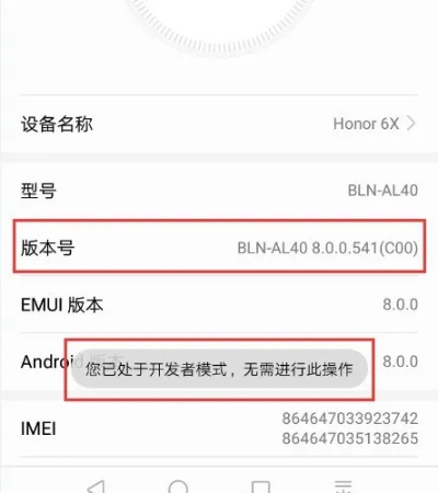 荣耀畅玩6x有几个版本跟个激活码吗,最佳精选解析说明_HarmonyOS_v5.179